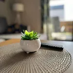 Zlote Piaski Kryty Basen Sauna Jacuzzi