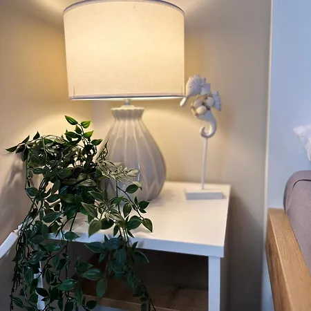 Zlote Piaski Kryty Basen Sauna Jacuzzi * Jastrzębia Góra