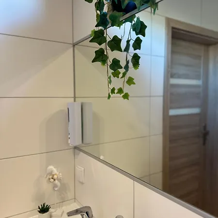 Zlote Piaski Kryty Basen Sauna Jacuzzi Lodge Jastrzębia Góra