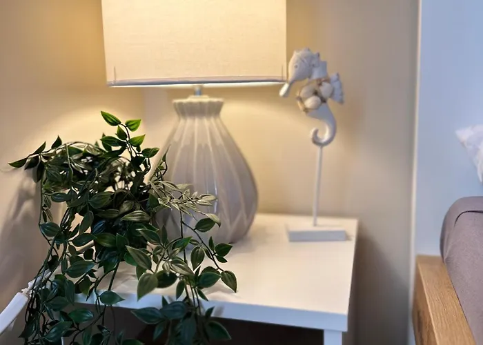 Zlote Piaski Kryty Basen Sauna Jacuzzi * Jastrzębia Góra